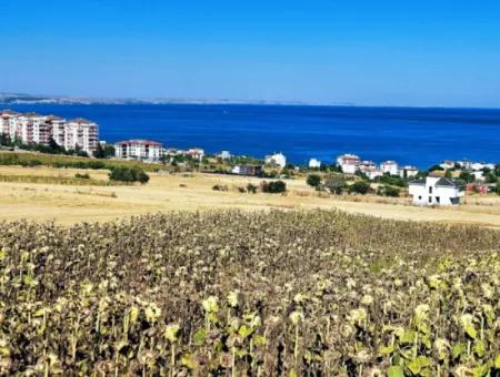 Gelegenheit Grundstück Geeignet Für Den Bau Ihres Einfamilienhauses In Ihrem Schwangeren Haus Zum Dringenden Verkauf In Tekirdag Barbarosta
