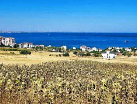 Gelegenheit Grundstück Geeignet Für Den Bau Ihres Einfamilienhauses In Ihrem Schwangeren Haus Zum Dringenden Verkauf In Tekirdag Barbarosta