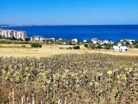 Gelegenheit Grundstück Geeignet Für Den Bau Ihres Einfamilienhauses In Ihrem Schwangeren Haus Zum Dringenden Verkauf In Tekirdag Barbarosta