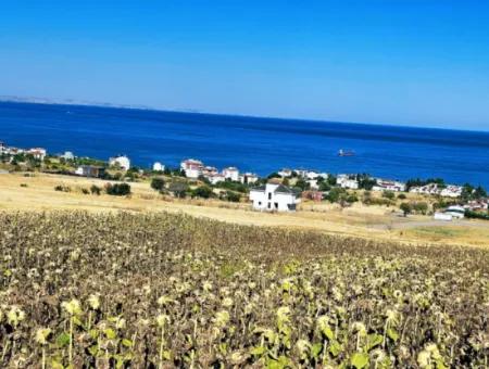 Gelegenheit Grundstück Geeignet Für Den Bau Ihres Einfamilienhauses In Ihrem Schwangeren Haus Zum Dringenden Verkauf In Tekirdag Barbarosta
