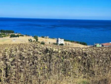 Gelegenheit Grundstück Geeignet Für Den Bau Ihres Einfamilienhauses In Ihrem Schwangeren Haus Zum Dringenden Verkauf In Tekirdag Barbarosta