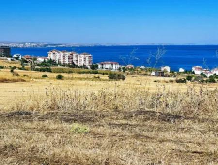 Gelegenheit Grundstück Geeignet Für Den Bau Ihres Einfamilienhauses In Ihrem Schwangeren Haus Zum Dringenden Verkauf In Tekirdag Barbarosta
