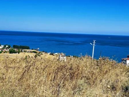 Gelegenheit Grundstück Geeignet Für Den Bau Ihres Einfamilienhauses In Ihrem Schwangeren Haus Zum Dringenden Verkauf In Tekirdag Barbarosta