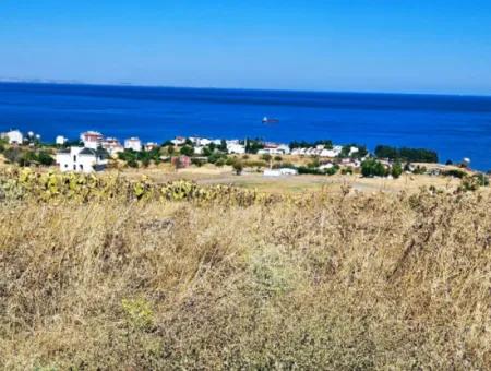 Gelegenheit Grundstück Geeignet Für Den Bau Ihres Einfamilienhauses In Ihrem Schwangeren Haus Zum Dringenden Verkauf In Tekirdag Barbarosta