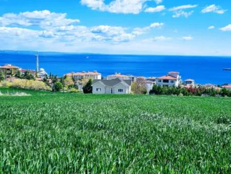 45 Wohnungen Mit Vollem Meerblick Wohngrundstück Zum Dringenden Verkauf Tekirdag Barbarosta