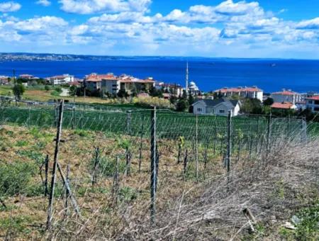 45 Wohnungen Mit Vollem Meerblick Wohngrundstück Zum Dringenden Verkauf Tekirdag Barbarosta