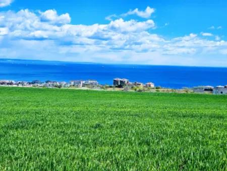 45 Wohnungen Mit Vollem Meerblick Wohngrundstück Zum Dringenden Verkauf Tekirdag Barbarosta