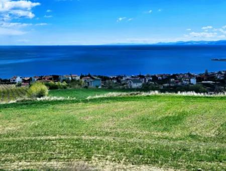 Wohngrundstück Mit Vollem Meerblick, Geeignet Für Den Bau Eines Genossenschaftsstandorts Mit 42 Wohnungen Zum Dringenden Verkauf In Tekirdag Barbarosta