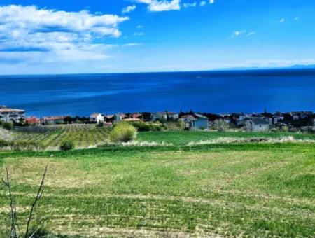 Wohngrundstück Mit Vollem Meerblick, Geeignet Für Den Bau Eines Genossenschaftsstandorts Mit 42 Wohnungen Zum Dringenden Verkauf In Tekirdag Barbarosta