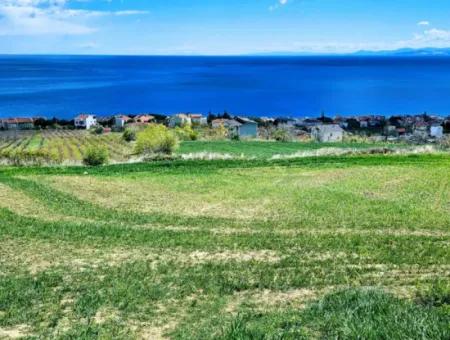 Wohngrundstück Mit Vollem Meerblick, Geeignet Für Den Bau Eines Genossenschaftsstandorts Mit 42 Wohnungen Zum Dringenden Verkauf In Tekirdag Barbarosta