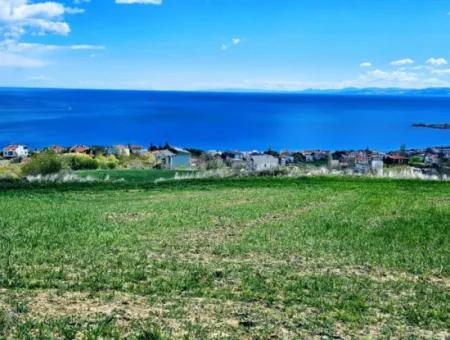 Wohngrundstück Mit Vollem Meerblick, Geeignet Für Den Bau Eines Genossenschaftsstandorts Mit 42 Wohnungen Zum Dringenden Verkauf In Tekirdag Barbarosta