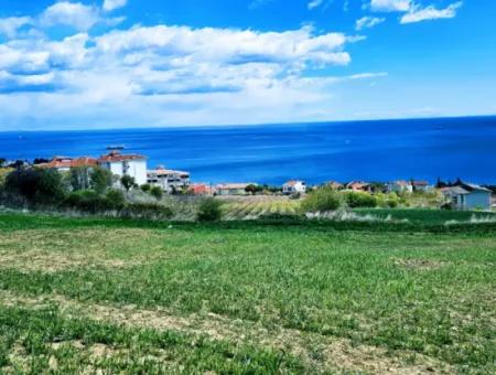 Wohngrundstück Mit Vollem Meerblick, Geeignet Für Den Bau Eines Genossenschaftsstandorts Mit 42 Wohnungen Zum Dringenden Verkauf In Tekirdag Barbarosta