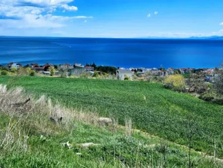 Wohngrundstück Mit Vollem Meerblick, Geeignet Für Den Bau Eines Genossenschaftsstandorts Mit 42 Wohnungen Zum Dringenden Verkauf In Tekirdag Barbarosta
