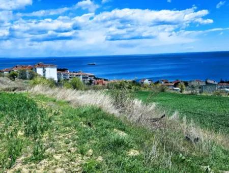 Wohngrundstück Mit Vollem Meerblick, Geeignet Für Den Bau Eines Genossenschaftsstandorts Mit 42 Wohnungen Zum Dringenden Verkauf In Tekirdag Barbarosta