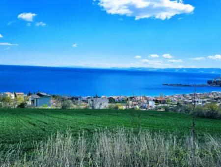 Wohngrundstück Mit Vollem Meerblick, Geeignet Für Den Bau Eines Genossenschaftsstandorts Mit 42 Wohnungen Zum Dringenden Verkauf In Tekirdag Barbarosta