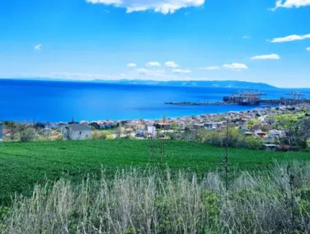 Wohngrundstück Mit Vollem Meerblick, Geeignet Für Den Bau Eines Genossenschaftsstandorts Mit 42 Wohnungen Zum Dringenden Verkauf In Tekirdag Barbarosta