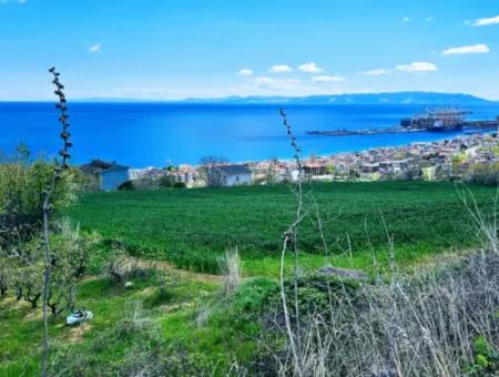 Wohngrundstück Mit Vollem Meerblick, Geeignet Für Den Bau Eines Genossenschaftsstandorts Mit 42 Wohnungen Zum Dringenden Verkauf In Tekirdag Barbarosta