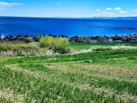Wohngrundstück Mit Vollem Meerblick, Geeignet Für Den Bau Eines Genossenschaftsstandorts Mit 42 Wohnungen Zum Dringenden Verkauf In Tekirdag Barbarosta