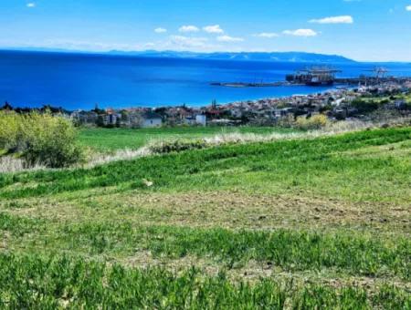 Wohngrundstück Mit Vollem Meerblick, Geeignet Für Den Bau Eines Genossenschaftsstandorts Mit 42 Wohnungen Zum Dringenden Verkauf In Tekirdag Barbarosta