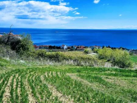 Wohngrundstück Mit Vollem Meerblick, Geeignet Für Den Bau Eines Genossenschaftsstandorts Mit 42 Wohnungen Zum Dringenden Verkauf In Tekirdag Barbarosta