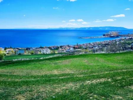 Wohngrundstück Mit Vollem Meerblick, Geeignet Für Den Bau Eines Genossenschaftsstandorts Mit 42 Wohnungen Zum Dringenden Verkauf In Tekirdag Barbarosta