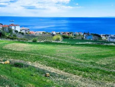Wohngrundstück Mit Vollem Meerblick, Geeignet Für Den Bau Eines Genossenschaftsstandorts Mit 42 Wohnungen Zum Dringenden Verkauf In Tekirdag Barbarosta