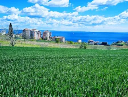 Geeignet Für Dringende Verkaufsgenossenschaft Und Standort In Tekirdag Barbarosta. Hohe Gewinngarantie Für Den Investor