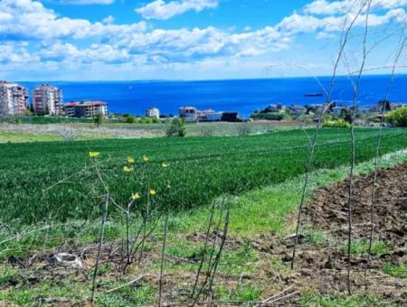 Geeignet Für Dringende Verkaufsgenossenschaft Und Standort In Tekirdag Barbarosta. Hohe Gewinngarantie Für Den Investor