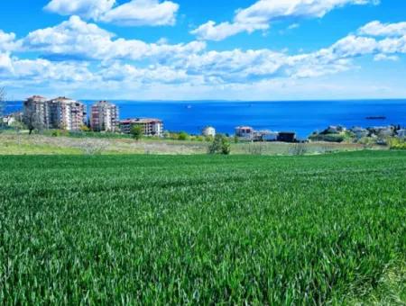 Geeignet Für Dringende Verkaufsgenossenschaft Und Standort In Tekirdag Barbarosta. Hohe Gewinngarantie Für Den Investor