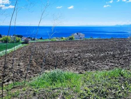 Geeignet Für Dringende Verkaufsgenossenschaft Und Standort In Tekirdag Barbarosta. Hohe Gewinngarantie Für Den Investor