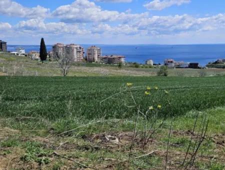 Geeignet Für Dringende Verkaufsgenossenschaft Und Standort In Tekirdag Barbarosta. Hohe Gewinngarantie Für Den Investor