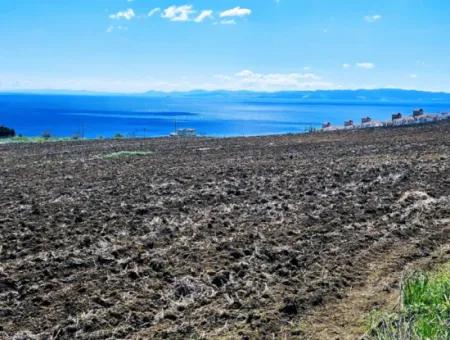 Geeignet Für Dringende Verkaufsgenossenschaft Und Standort In Tekirdag Barbarosta. Hohe Gewinngarantie Für Den Investor