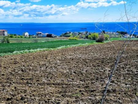 Geeignet Für Dringende Verkaufsgenossenschaft Und Standort In Tekirdag Barbarosta. Hohe Gewinngarantie Für Den Investor