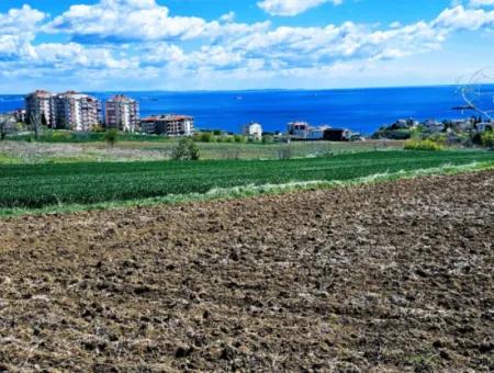 Geeignet Für Dringende Verkaufsgenossenschaft Und Standort In Tekirdag Barbarosta. Hohe Gewinngarantie Für Den Investor