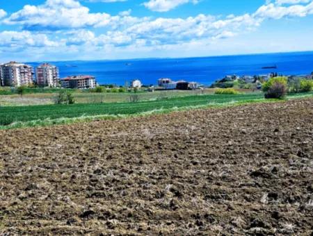 Geeignet Für Dringende Verkaufsgenossenschaft Und Standort In Tekirdag Barbarosta. Hohe Gewinngarantie Für Den Investor
