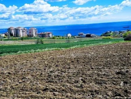 Geeignet Für Dringende Verkaufsgenossenschaft Und Standort In Tekirdag Barbarosta. Hohe Gewinngarantie Für Den Investor