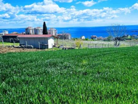 Geeignet Für Dringende Verkaufsgenossenschaft Und Standort In Tekirdag Barbarosta. Hohe Gewinngarantie Für Den Investor