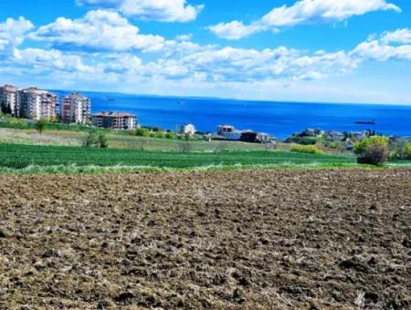 Geeignet Für Dringende Verkaufsgenossenschaft Und Standort In Tekirdag Barbarosta. Hohe Gewinngarantie Für Den Investor