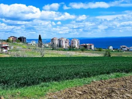 Geeignet Für Dringende Verkaufsgenossenschaft Und Standort In Tekirdag Barbarosta. Hohe Gewinngarantie Für Den Investor