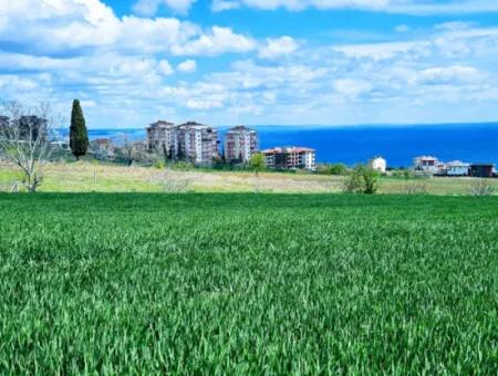 Geeignet Für Dringende Verkaufsgenossenschaft Und Standort In Tekirdag Barbarosta. Hohe Gewinngarantie Für Den Investor