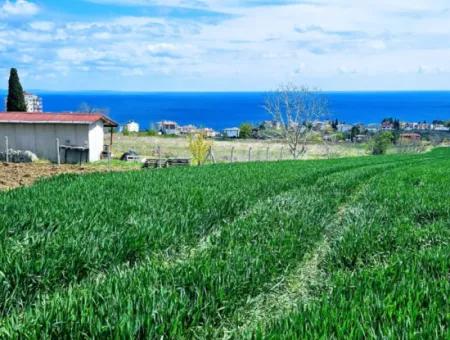 Geeignet Für Dringende Verkaufsgenossenschaft Und Standort In Tekirdag Barbarosta. Hohe Gewinngarantie Für Den Investor