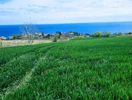Geeignet Für Dringende Verkaufsgenossenschaft Und Standort In Tekirdag Barbarosta. Hohe Gewinngarantie Für Den Investor