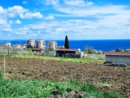 Geeignet Für Dringende Verkaufsgenossenschaft Und Standort In Tekirdag Barbarosta. Hohe Gewinngarantie Für Den Investor