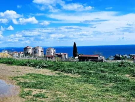 Geeignet Für Dringende Verkaufsgenossenschaft Und Standort In Tekirdag Barbarosta. Hohe Gewinngarantie Für Den Investor