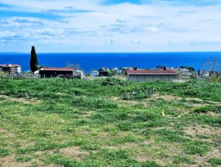 Geeignet Für Dringende Verkaufsgenossenschaft Und Standort In Tekirdag Barbarosta. Hohe Gewinngarantie Für Den Investor