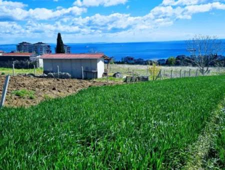 Geeignet Für Dringende Verkaufsgenossenschaft Und Standort In Tekirdag Barbarosta. Hohe Gewinngarantie Für Den Investor