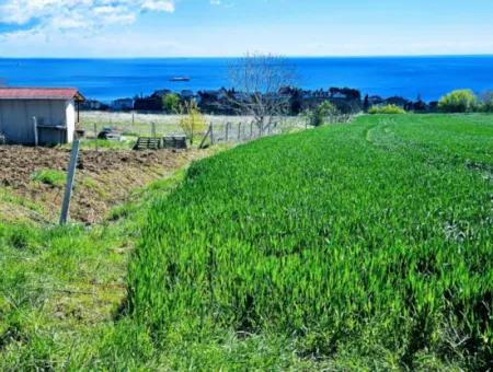 Geeignet Für Dringende Verkaufsgenossenschaft Und Standort In Tekirdag Barbarosta. Hohe Gewinngarantie Für Den Investor
