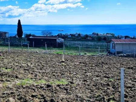 Geeignet Für Dringende Verkaufsgenossenschaft Und Standort In Tekirdag Barbarosta. Hohe Gewinngarantie Für Den Investor