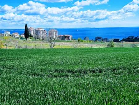 Geeignet Für Dringende Verkaufsgenossenschaft Und Standort In Tekirdag Barbarosta. Hohe Gewinngarantie Für Den Investor
