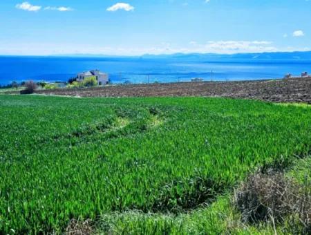 Geeignet Für Dringende Verkaufsgenossenschaft Und Standort In Tekirdag Barbarosta. Hohe Gewinngarantie Für Den Investor
